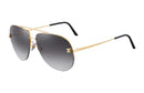 PANTHÈRE DE CARTIER SUNGLASSES 1.1