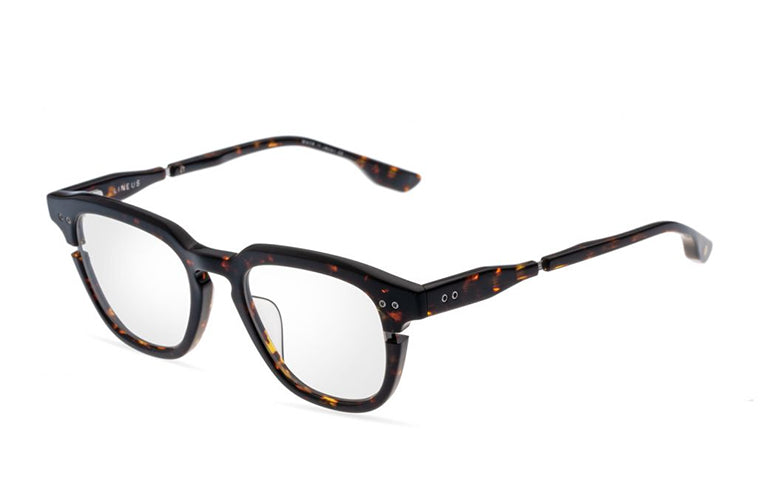 Tortoise-Gun Metal w/Clear / 49 - 21 - 145