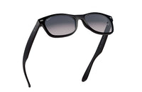 RB2132 NEW WAYFARER