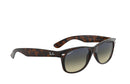 RB2132 NEW WAYFARER