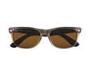 RB2132 NEW WAYFARER